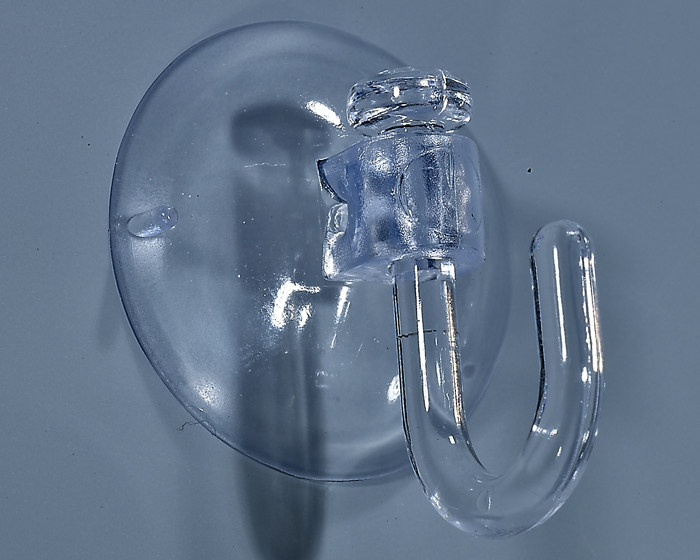 Cha Hua Camellia brand authentic 2