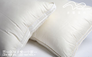 【评价】家纺 床上用品 专柜正品 枕头\/枕芯天丝