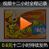 Lalsla暖贴 大号袋鼠 煖宝宝 发热贴 正品 暖身贴/5省整箱包邮 