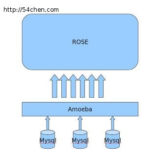 amoeba+rose构架图