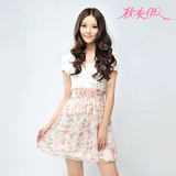 秋水伊人2012春季新款淑女碎花雪纺连衣裙|112202161原价398