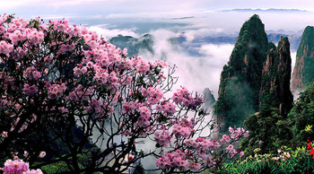 郴州旅游景点大全，郴州旅游攻略，郴州旅游计划-淘宝旅行