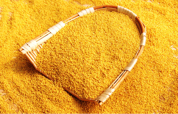 陕北黄小米 月子米 宝宝米 1.8元购|薅羊毛