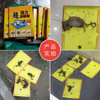 老鼠贴强力粘鼠板灭鼠神器正品夹药抓大老鼠胶笼捕鼠器家用一窝端券后7.7元包邮